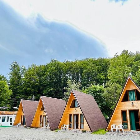 Vila Casa Ursu Cîrţişoara Exteriér fotografie