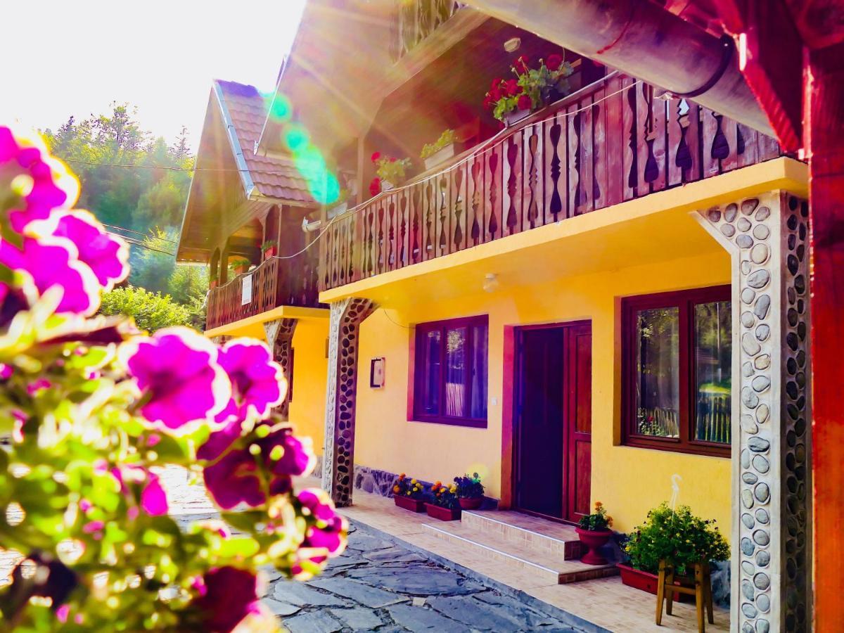 Vila Casa Ursu Cîrţişoara Exteriér fotografie