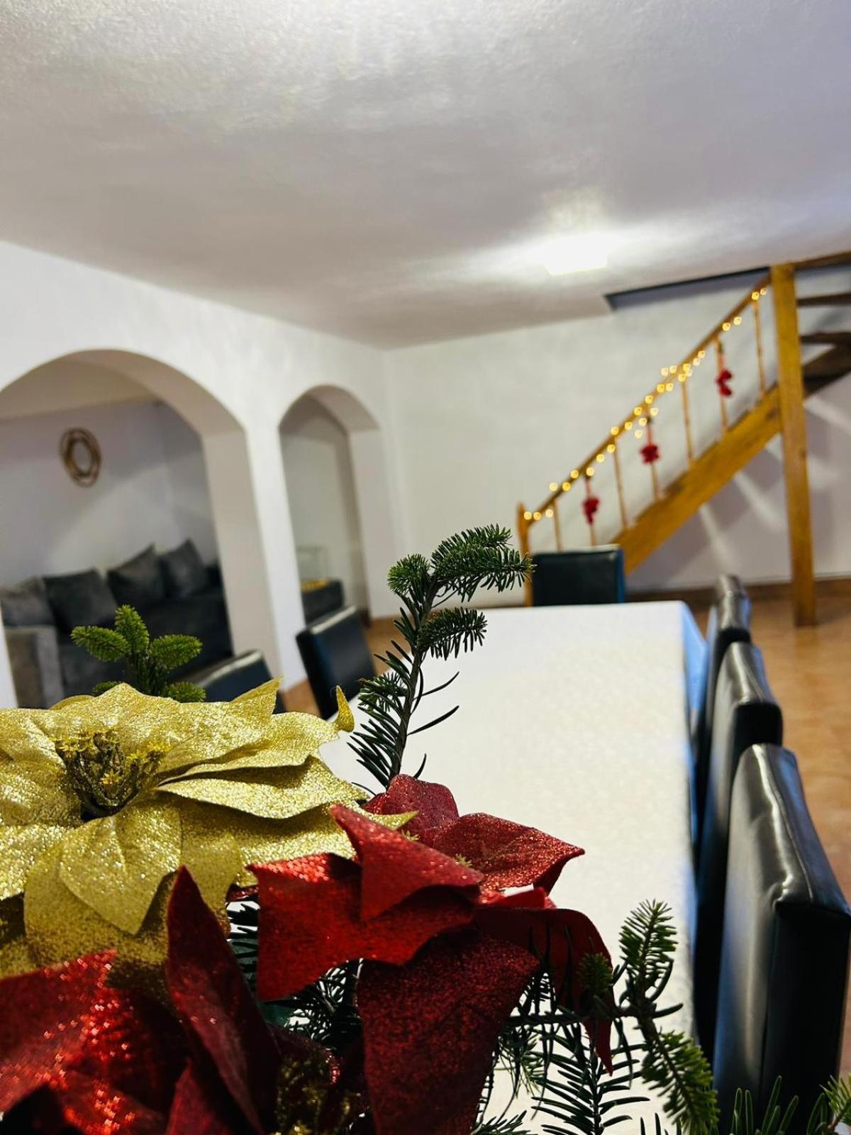 Vila Casa Ursu Cîrţişoara Exteriér fotografie