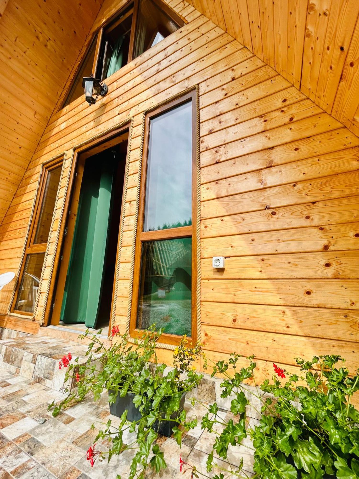Vila Casa Ursu Cîrţişoara Exteriér fotografie