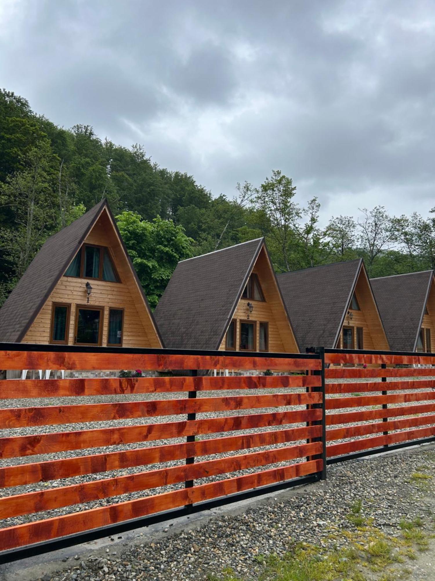 Vila Casa Ursu Cîrţişoara Exteriér fotografie
