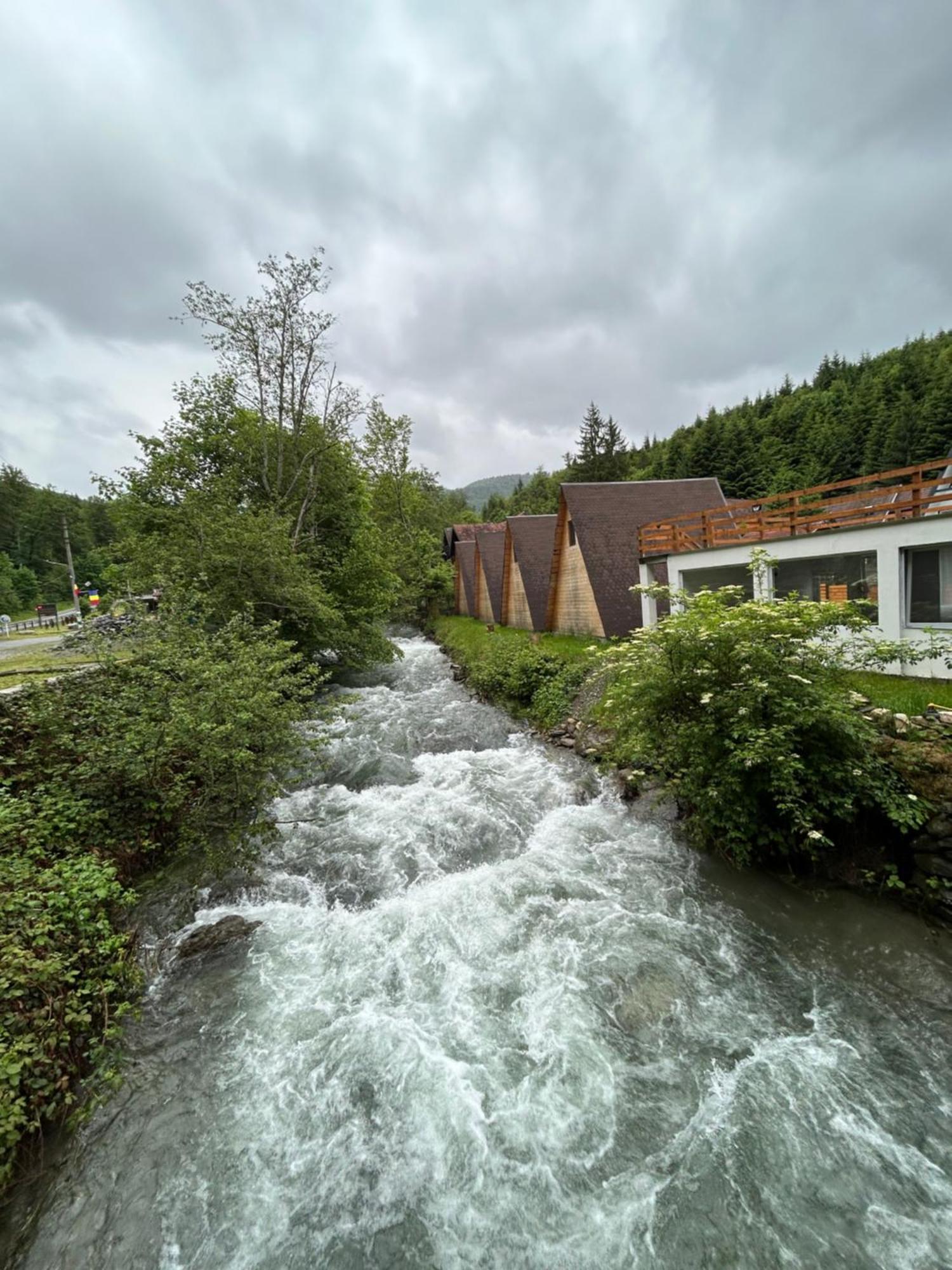 Vila Casa Ursu Cîrţişoara Exteriér fotografie