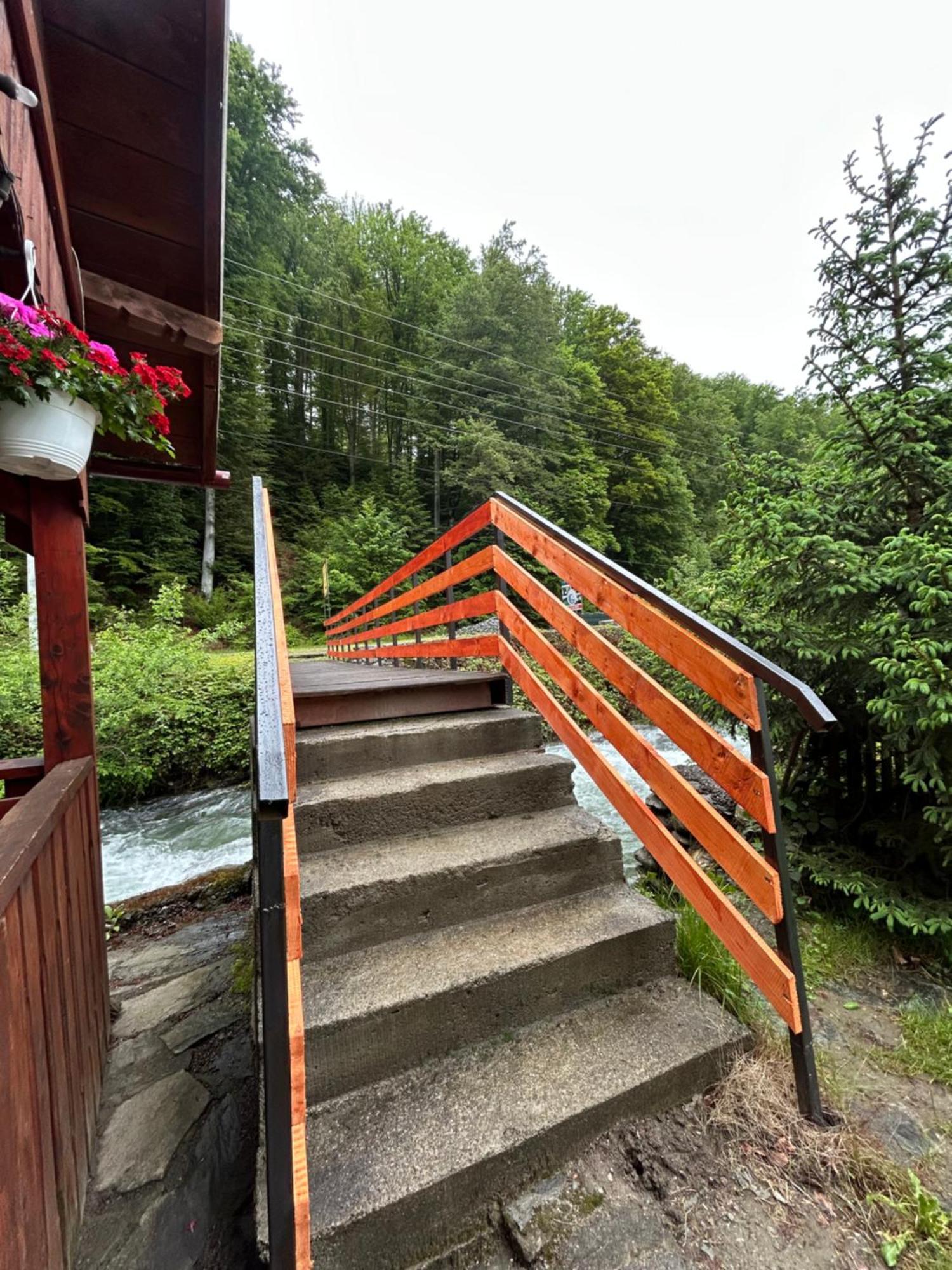 Vila Casa Ursu Cîrţişoara Exteriér fotografie